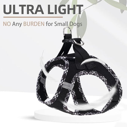 PUPTECK Dog Harness and Leash Set for Small Medium Dogs No Pull Step-in Soft Mesh Puppy Cat Vest Harnesses Reflective at Night, Black XS