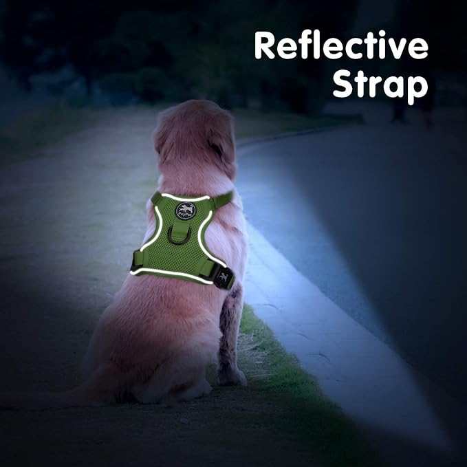 PoyPet Reflective Soft Breathable Mesh Dog Harness Choke-Free Double Padded Vest with Adjustable Neck and Chest(Grass Green,M)