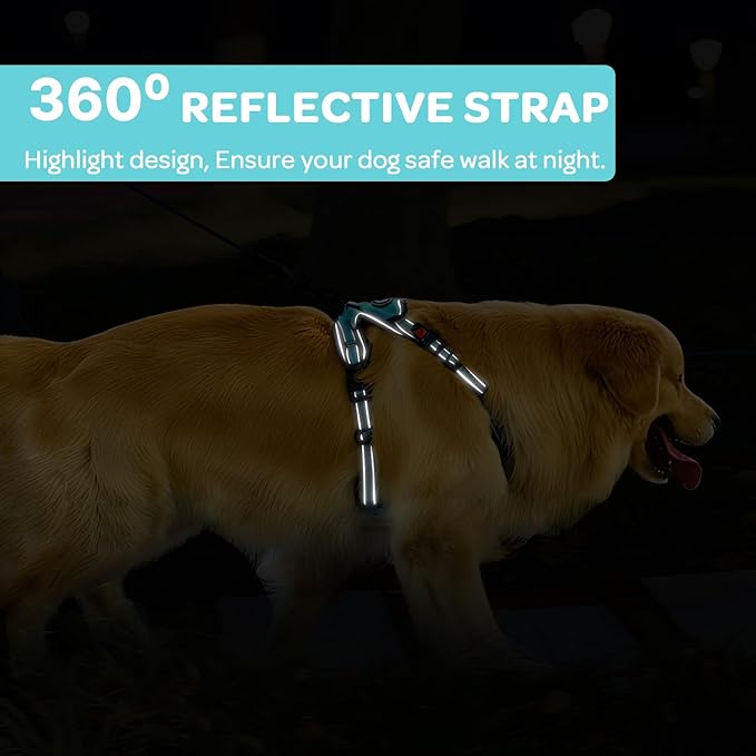 FURRYFECTION Plaid Dog Harness for Medium Dogs, Reflective No Pull Adjustable Pet Vest with Front Clip, Leash, Easy Control Handle and Seat Belt, Turquoise, M