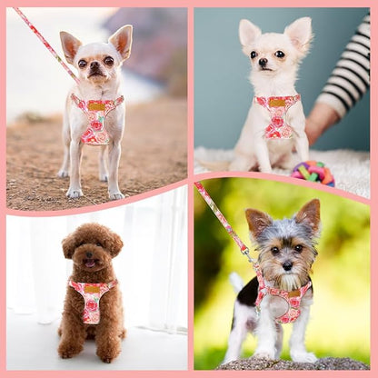 SlowTon Dog Harness Small Sized Dog - Soft XXS Dog Harness and Leash Set No Pull No Chock, Adjustable Lightweight Puppy Harness for XS Small Medium Dogs Cats (Pink Rose, S)
