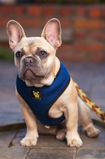 EcoBark Dog Harness - Eco-Friendly Max Comfort Harnesses - Luxurious Soft Mesh Halter - Over The Head Harness Vest- No Pull and No Choke for Large, XL, and XXL Dogs (XL, Navy)