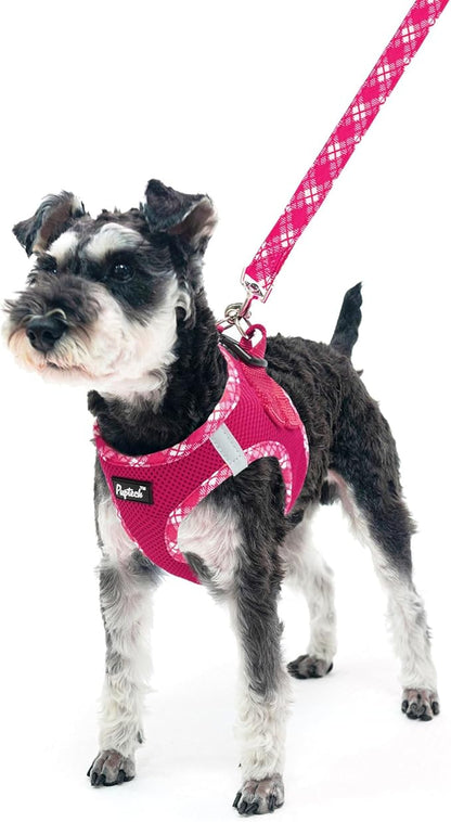 PUPTECK Dog Harness and Leash Set for Small Medium Dogs No Pull Step-in Soft Mesh Puppy Cat Vest Harnesses Reflective at Night, Fuchsia, M