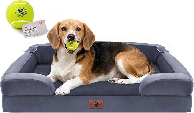 Orthopedic Dog Beds for Large Medium Dogs, Big Waterproof Memory Foam Pet Couch Bed with Removable Washable Cover, Tennis Ball Toy, 36x27