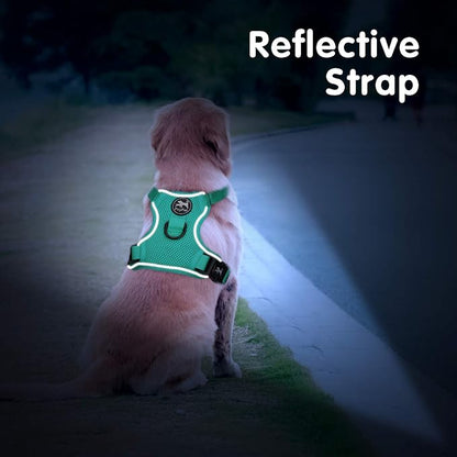 PoyPet Reflective Soft Breathable Mesh Dog Harness Choke-Free Double Padded Vest with Adjustable Neck and Chest(Mint Green,XL)