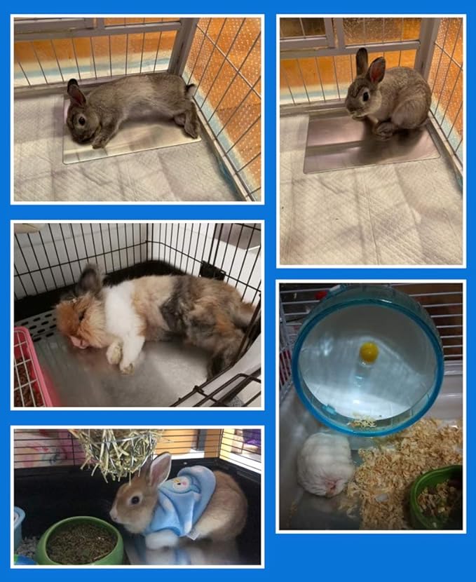 Comtim Rabbits Cooling Mat, Self Cooling Mat Pad for Hamster Guinea Pig Chinchilla Bunny Kitten Cat and Other Small Animals, Pet Cool Plate Ice Bed, Rapid Cooling - Perfect for Hot Summer Weather, M