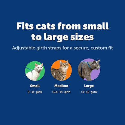 PetSafe Come With Me Kitty Cat Harness & Bungee Leash - Comfortable Cat Harness with Lightweight Bungee Leash for Outdoor Fun - More Secure Walks - Medium - Lilac
