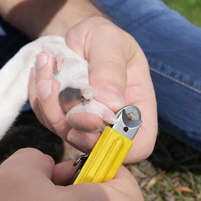 Resco Deluxe Dog Nail Clippers, Original Pet Nail Trimmer, Made in USA, Large, Yellow