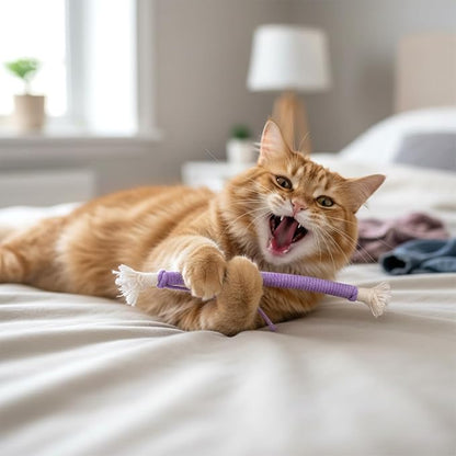 Cat Toys Chew Ropes, 6 PCS Kitten Teething Toys for Indoor Kittens Interactive Cats Cleaning Toy Refillable Catnip Cat Chew Ropes Toy for Indoor Cats Teeth Cleaning Self Playing