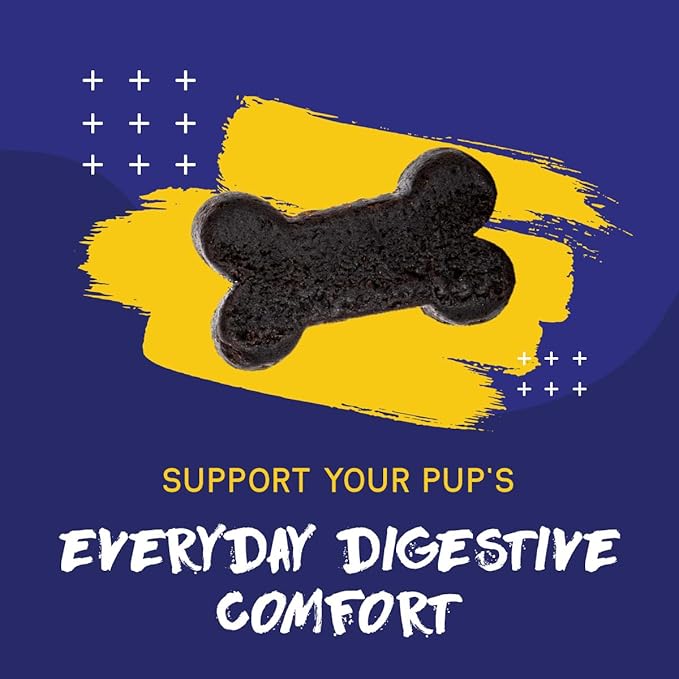 PupGrade Digestive Support for Dogs - Prebiotic + Probiotic Supplement with Enzyme Blend - Gut and Immune Support - Pumpkin, Blueberry, Mineral Oil, Peanut Butter Flavor - 60 Soft Chews