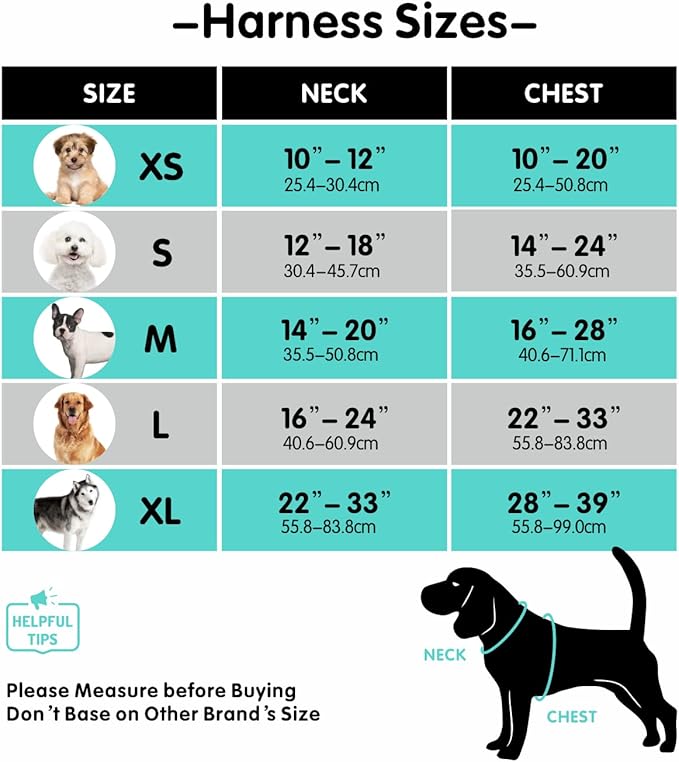 PoyPet Reflective Soft Breathable Mesh Dog Harness Choke-Free Double Padded Vest with Adjustable Neck and Chest(Royal Blue,L)