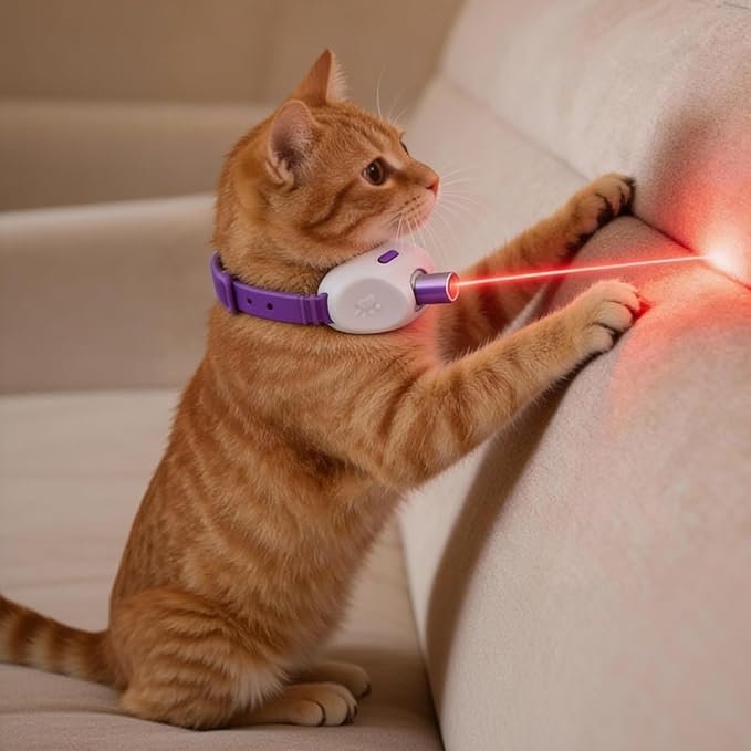 Walfront Cat Toys for Indoor Cats, Purple Light-Up Interactive Collar with Automatic Motion, Adjustable Fit 9.1–13.4"(23–34cm) USB Rechargeable 2 Modes, Home Alone Cats, Engaging Playtime