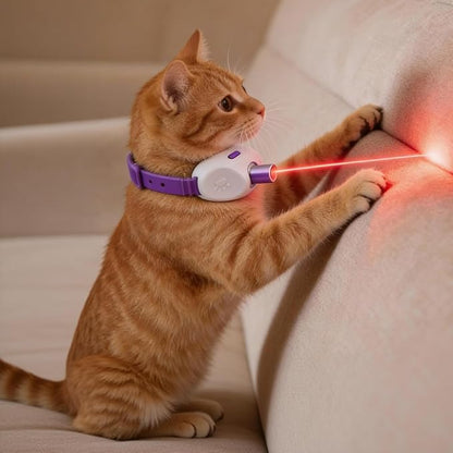 Walfront Cat Toys, Interactive Purple Light-Up Collar, USB Rechargeable, Adjustable 9.1–13.4in, 2 Modes & 41° Angle, Indoor Play for Multiple Cats & Kittens, Fun & Exercise