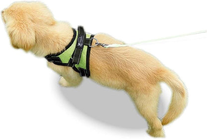 No Pull Reflective Adjustable Dog Harness With Handle- Comfortable Soft All Weather Mesh, Easy On Puppy Harness For Small Medium and Large Dogs (Green) Small