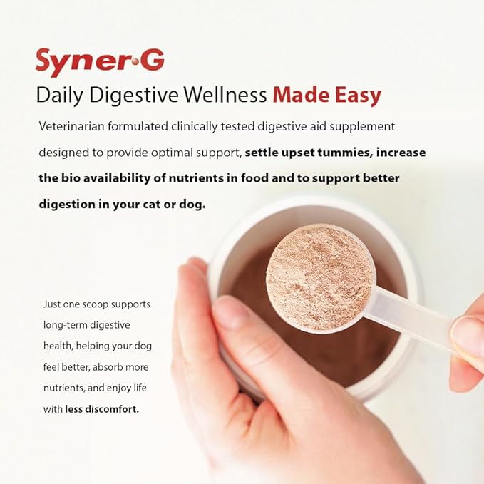 PHS Syner-G Digestive Enzymes Supplement for Dogs and Cats - Alpha-Amylase, Lipase, Cellulase, and Protease - Digestion Support, Absorption of Nutrients, Skin Health - 454 Grams