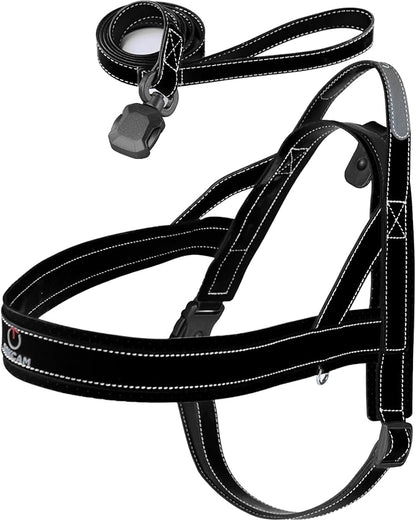 Magnetic Dog Harness and Leash Set with Quick Release Buckle, Easy On & Off Faux Leather Puppy Harness and Leash with Handle for Medium, Large Sized Dog