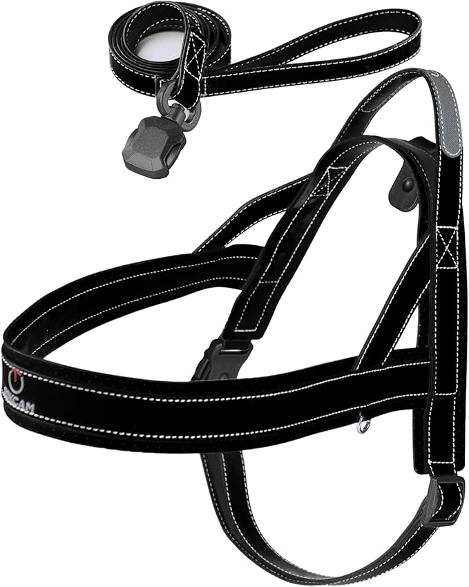 Magnetic Dog Harness and Leash Set with Quick Release Buckle, Easy On & Off Faux Leather Puppy Harness and Leash with Handle for Medium, Large Sized Dog