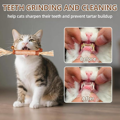Natural Dried Matatabi Cat Chew Stick with Gall Fruit, Raffia Grass & Bell Ball Toys for Cat, Silvervine Sticks Interactive Catnip Toys for Teething & Entertainment (Size L Color I)