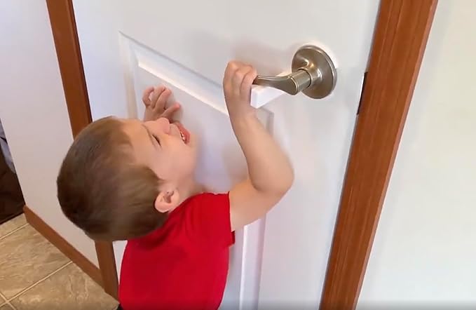 Pet Proof Door Lever Lock - No Adhesive Child Proof Door Lever Lock for Cats and Dogs (Customize)