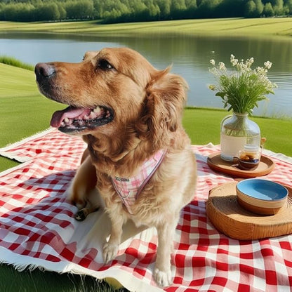THAIN Reflective Dog Vest Harness & Leash Set – No-Pull Design, Adjustable & Comfortable for Medium Dogs (M, Pink Plaid)