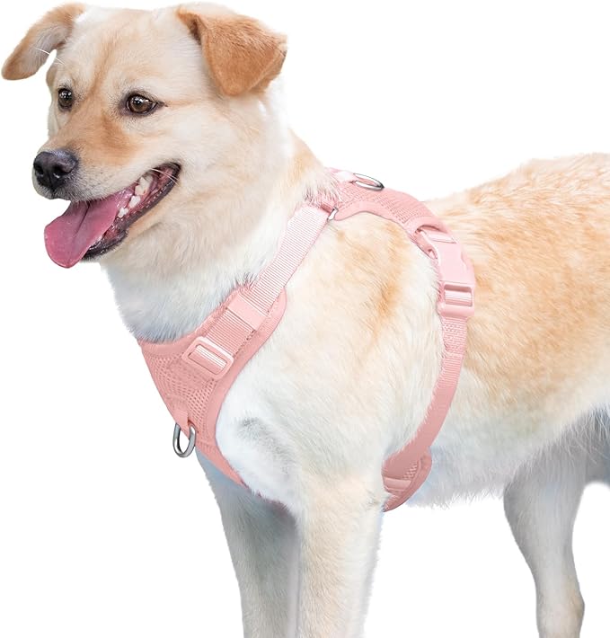 No Pull Dog Harness for Small Medium Large Dogs - Adjustable 2 Layer Mesh Dog Vest with Dual Clip, Escape Proof, Quick Release, Lightweight Breathable Mesh for Walking Hiking (Light Pink,M)
