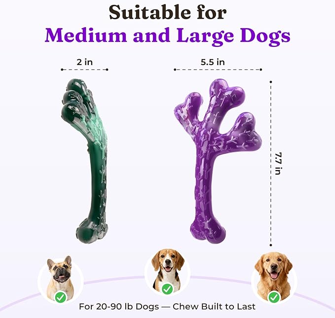 Frienhund 6 Pack (XL Cactus) Indestructible Tough Dog Toys for Aggressive Chewers: Beef Flavored Chew Bone for Large Dogs 20-90 lbs, Long Lasting & Keep Them Busy