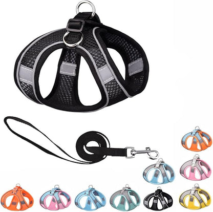 Black Puppy Dog Harness with Leash, No-Pull Cat Harness for Easy Walk, Breathable Mesh Reflective Tiny Dog Vest for XXS Xs Small Medium Breed Pet Dogs, XXS