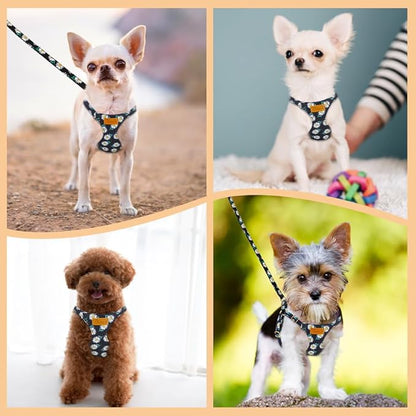 Lukovee Puppy Harness and Leash Set, No Pull Lightweight Soft Suede Adjustable Pet Harness Vest with Snap Buckle for Puppy Small and Medium Size Dog (Black-S)