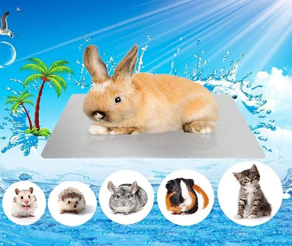 Comtim Pet Cooling Mat for Rabbit Hamsters, Self Cooling Mat Pad for Hamster Guinea Pig Chinchilla Kitten Cat and Other Small Animals, Pet Cool Plate Ice Bed - Perfect for Hot Summer Weather