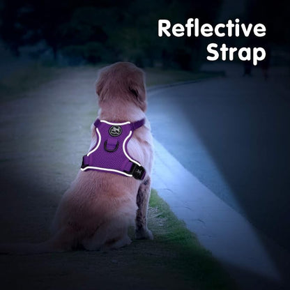 PoyPet Reflective Soft Breathable Mesh Dog Harness No Choke Double Padded Vest Adjustable(Purple,S)