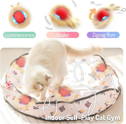Interactive Cat Toys for Indoor Cats, Automatic Ball Toy Rolling Motion Activates, Hide & Seek Game for cat Play, Rechargeable Bouncing Toy Keeps Kitten Entertained & Not Bored