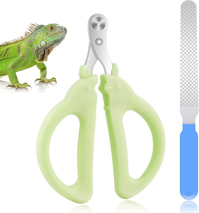 Cat Nail Clippers with Nail File, Kitten Claw Nail Clippers for Trimming, Stainless Steel Pet Bearded Nail Clippers Tool for Dragon, Guinea Pig, Rabbits, Birds, Ferret Small Breed Animals(Green)
