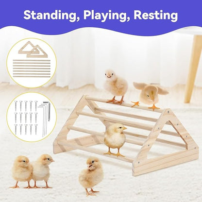 Pawaboo Chick Brooder Box for Chick Starter Kit, Brooder Pen/Chicken Supplies Brooders Box with Chicks Perch Brooding Up to 15 Chicks, Duck and Quail, Green + Red + Wood Color