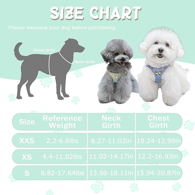 No Pull Dog Harness and Leash Set for Small Sized Dog Training; Puppy Harnesses with Multifunction Dog Leash, Soft Adjustable Denim No Choke Escape Proof Pet Harness for Small and Medium Dog (Teal S)