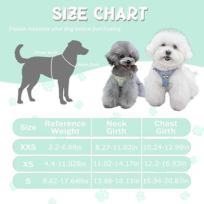 No Pull Dog Harness and Leash Set for Small Sized Dog Training; Puppy Harnesses with Multifunction Dog Leash, Soft Adjustable Denim No Choke Escape Proof Pet Harness for Small and Medium Dog (Teal S)