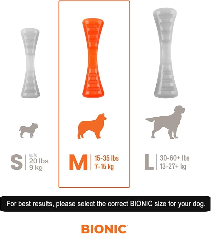 BIONIC Urban Stick Dog Toy, Medium - Interactive Dog Chew Toy That Stands Up to The Toughest Chewers, for Dogs Between 15-35 lbs. (7-15 kg.)
