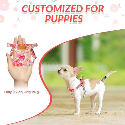 Lukovee Puppy Harness and Leash Set, No Pull Lightweight Soft Suede Adjustable Pet Harness Vest with Snap Buckle for Puppy Small and Medium Size Dog (Pink Rose, XXS)