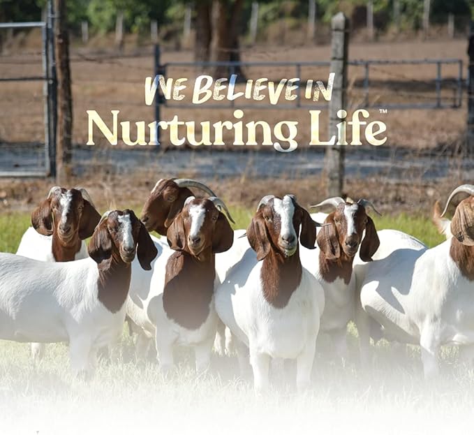 Manna Pro Goat & Skin Supplement, Supports Healthy Skin, Shiny Coat & Overall Wellness, Goat Feed Supplement w/Essential Vitamins & Minerals, for Strong Hooves & Immune Health, 4 lbs