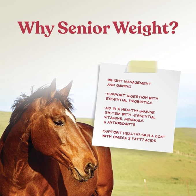 Manna Pro Weight Accelerator for Senior Horses – Weight Gain and Muscle Support Supplement with Omega 3 Fatty Acids and Flaxseed – High-Calorie Feed Topper for Horses – 8 lb Bag