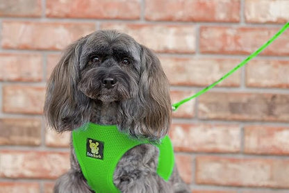 EcoBark Dog Harness - Eco-Friendly Max Comfort Harnesses - Luxurious Soft Mesh Halter - Over the Head Harness Vest- No Pull and No Choke for Puppy, Small Breeds & Medium Dogs (Large, Green)