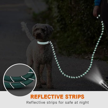 Taglory Rope Dog Leash 4 FT with Comfortable Padded Handle, Highly Reflective Threads Leash and Anti-Tangle Clip for Walking Small Dogs, 3/8 inch, Turquoise