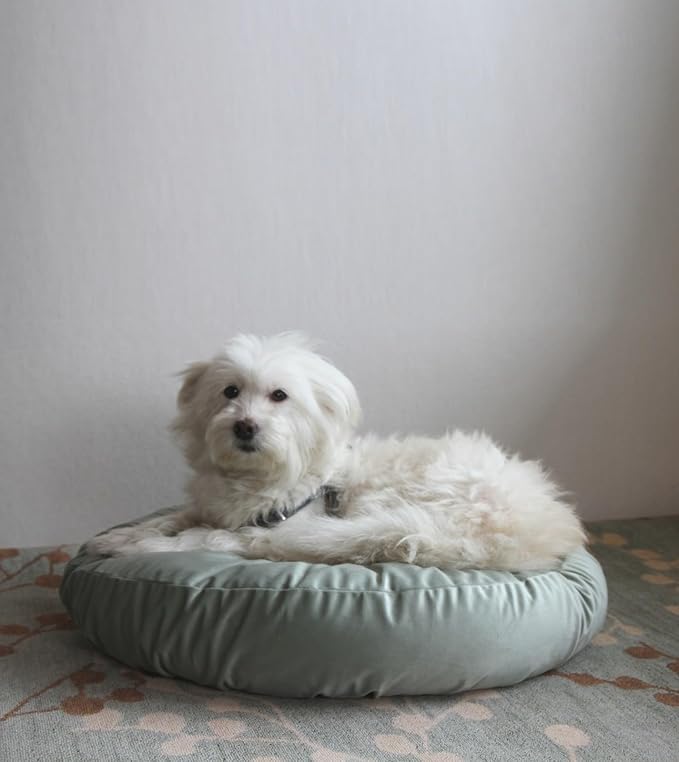 Round Cat and Dog Bed Cover Replacement 20 Inch Sage Green