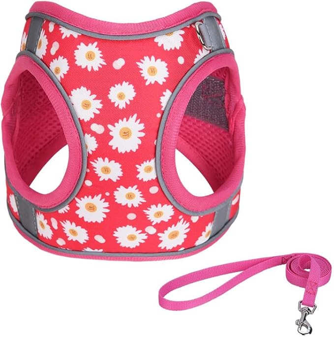 XS ROSEO Flower Pattern Dog Harness and Leash Set,No Escape Puppy Harnesses for Training Walking，Breathable Adjustable Puppy Vest for Small Medium Dogs, Cats (ROSEO, XS)