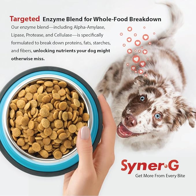 PHS Syner-G Digestive Enzymes Supplement for Dogs and Cats - Alpha-Amylase, Lipase, Cellulase, and Protease - Digestion Support, Absorption of Nutrients, Skin Health - 454 Grams