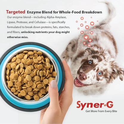 PHS Syner-G Digestive Enzymes Supplement for Dogs and Cats - Alpha-Amylase, Lipase, Cellulase, and Protease - Digestion Support, Absorption of Nutrients, Skin Health - 454 Grams
