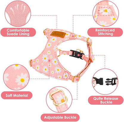 Lukovee Puppy Harness and Leash Set, No Pull Lightweight Soft Suede Adjustable Pet Harness Vest with Snap Buckle for Puppy Small and Medium Size Dog (PI-M)