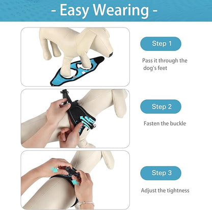 Dog Harness for Small Dogs and Leash Set, Honeycomb Grid, Reflective Lightweight Harness & Anti-Twist Pet Lead (Multi Color, Size: XS-S-M) (M, Blue)