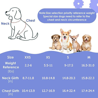 Lukovee Puppy Harness and Leash Set, No Pull Lightweight Soft Suede Adjustable Pet Harness Vest with Snap Buckle for Puppy Small and Medium Size Dog (Blue Flower, S)