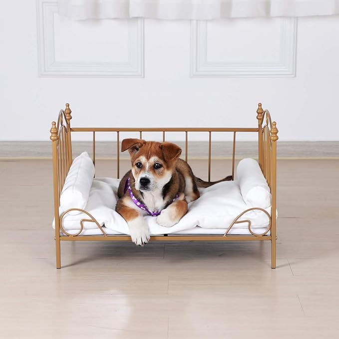 Pet Bed, Dog Bed with Metal Frame and Detached White Velvet Cushion with 2 Pillow for Small Dog