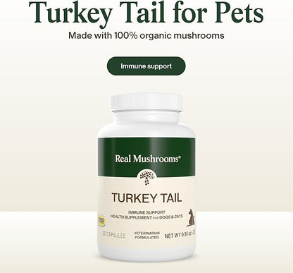 Real Mushrooms Turkey Tail Capsules for Pets –Cat Probiotics & Dog Vitamins – Organic Mushroom Supplement for Dogs & Cats – Supports Daily Balance & Well-Being Non-GMO, 90 ct