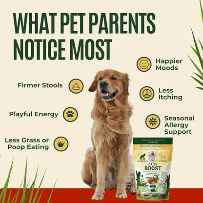 Gussy's Gut Daily Boost- Fermented Organic Superfood Reset & Reboot Dog Gut Health- Human Grade Pre & Probiotic Digestive Supplement- USA Made Small Batch 19 Ingredient Formula Reset Phase (7.5 Oz)